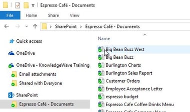 Access SharePoint and OneDrive documents with File Explorer