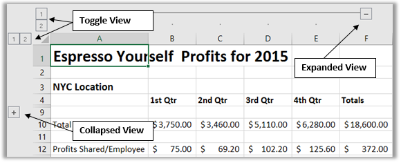 Excel adds show and hide buttons to help toggle your view