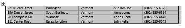 Text Converted to Table