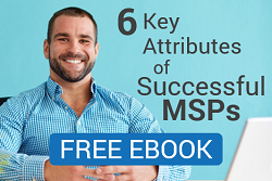 6 Key Attributes of Successful MSPs: FREE EBOOK