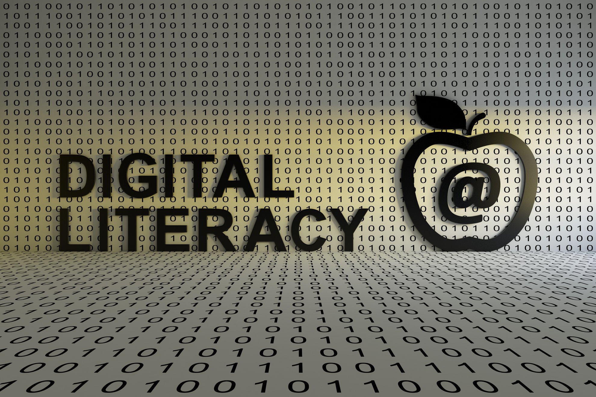 ARPA State & Local Funds YES to Digital Literacy