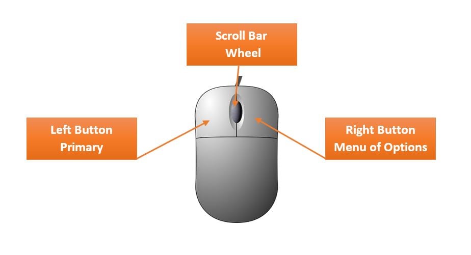 Tips For Older Workers Learning About The Computer Mouse