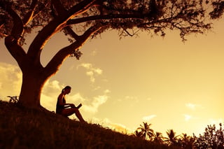 Photo of introvert working alone under a tree