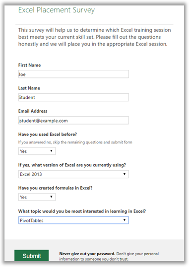 Excel Survey Example