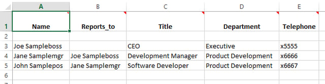 Org Chart Data in Excel