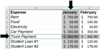 presentation pointer in excel Select Cursor