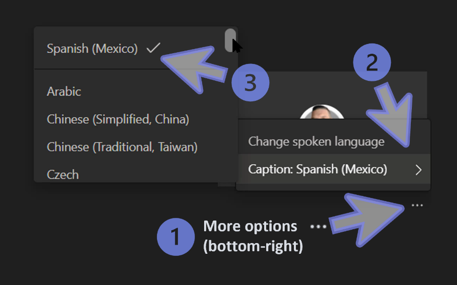 Choosing the Caption Language